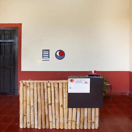 Capital O Hacienda Yunku Hotel, Yucatan ميريدا المظهر الخارجي الصورة