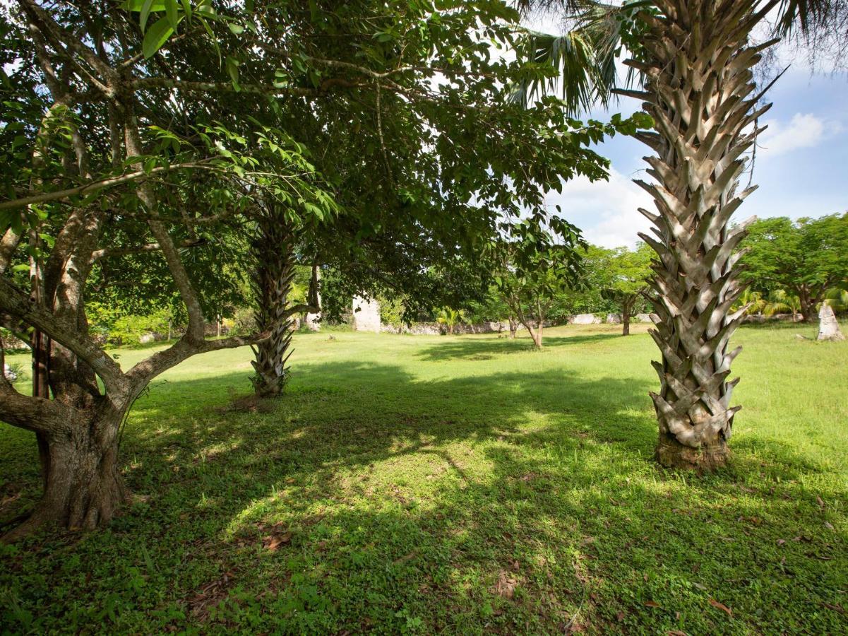 Capital O Hacienda Yunku Hotel, Yucatan ميريدا المظهر الخارجي الصورة